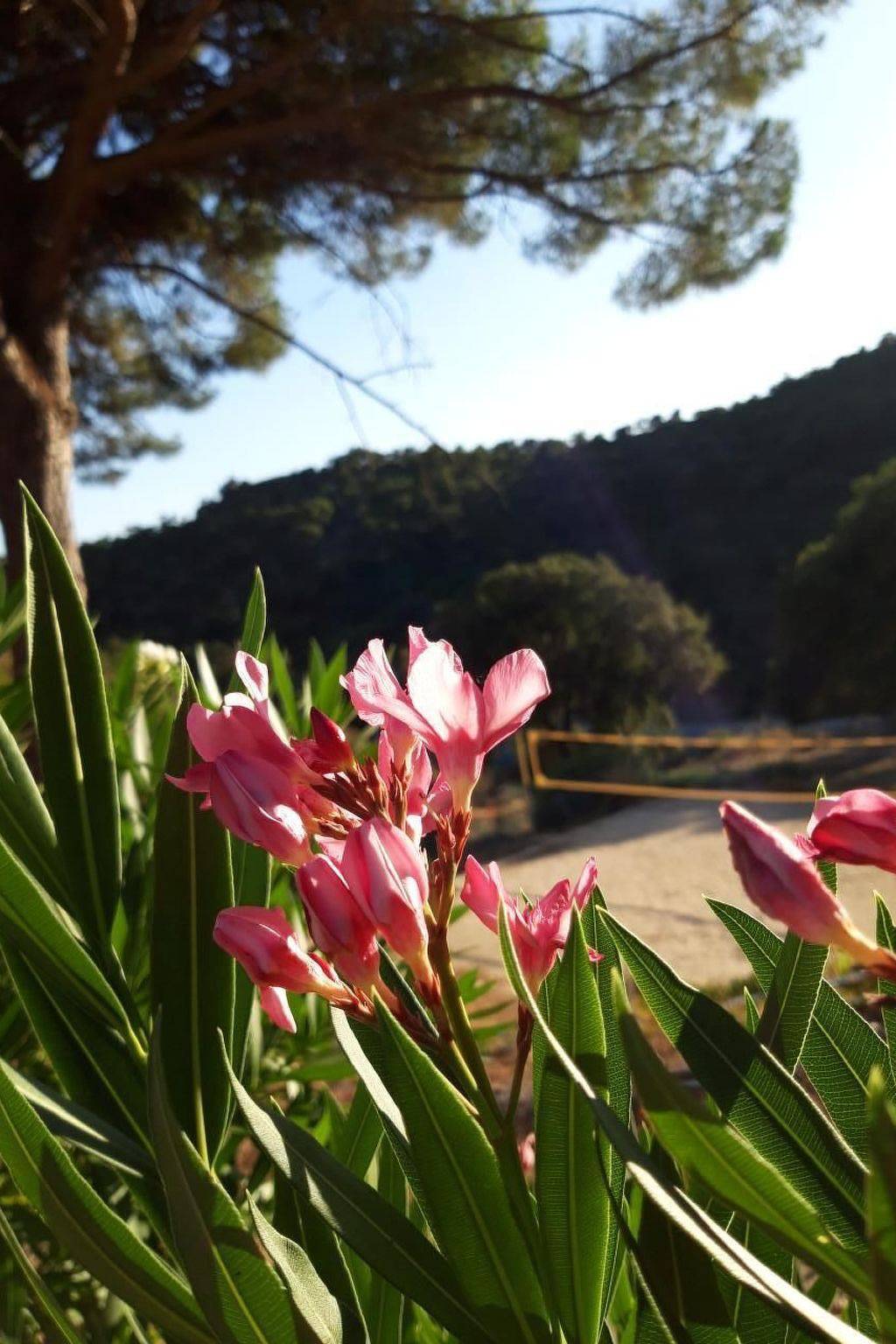 4 Zimmerhaus in Sainte-Maxime, Région de Draguignan