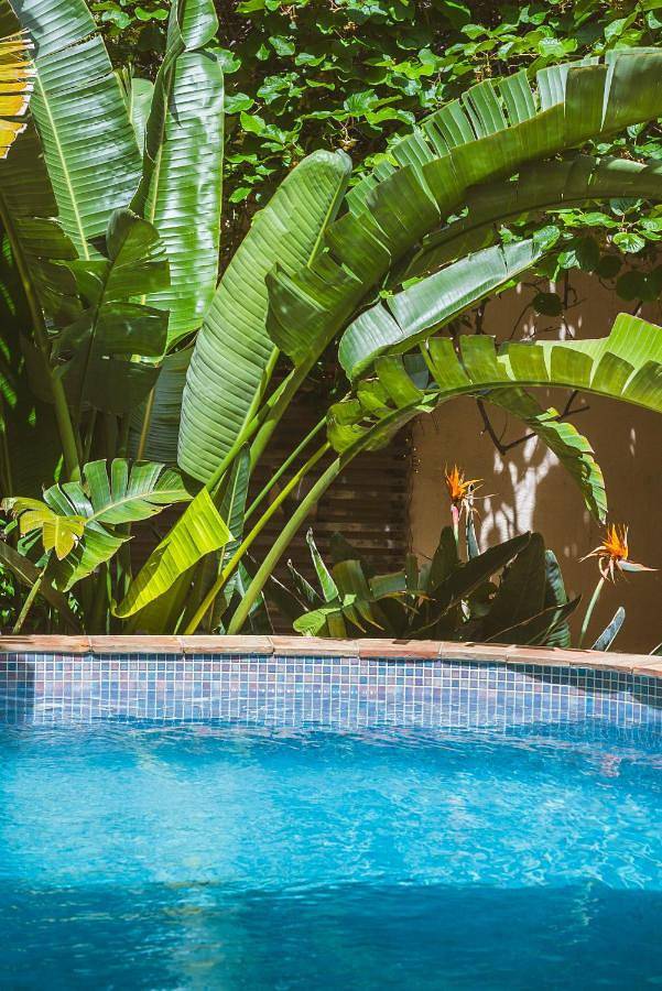 Villa pour 4 personnes, avec piscine ainsi que jardin et vue à Saint-Tropez - 2