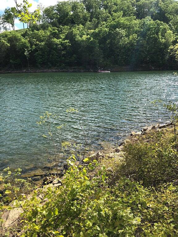 Branson Mo Blockhaus Private Veranda Ruhig Mtn. Waldansicht über See, Handicap in Table Rock Lake