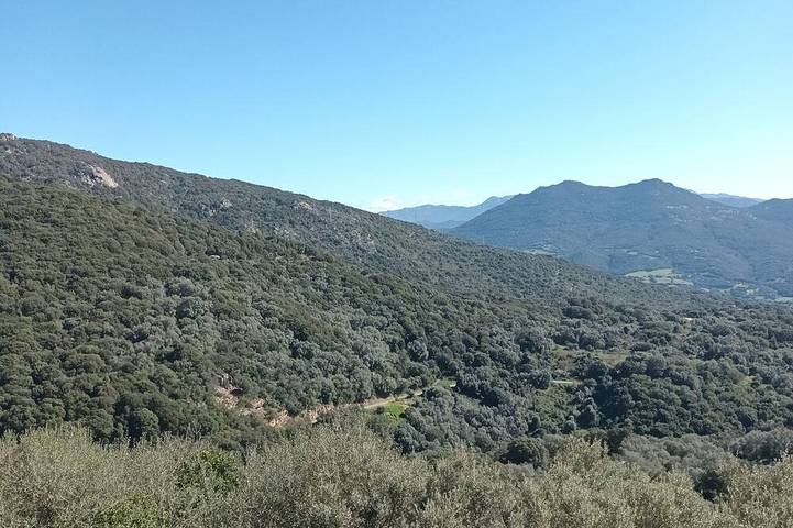 Appartement de vacances pour 4 personnes, avec terrasse