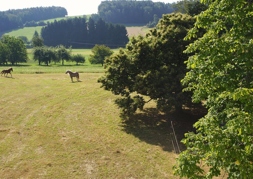 Panoramablick Höllbachtal - Fewo mit Kaminofen, vollausgestatteter Küche und Badewanne in Ostbayern