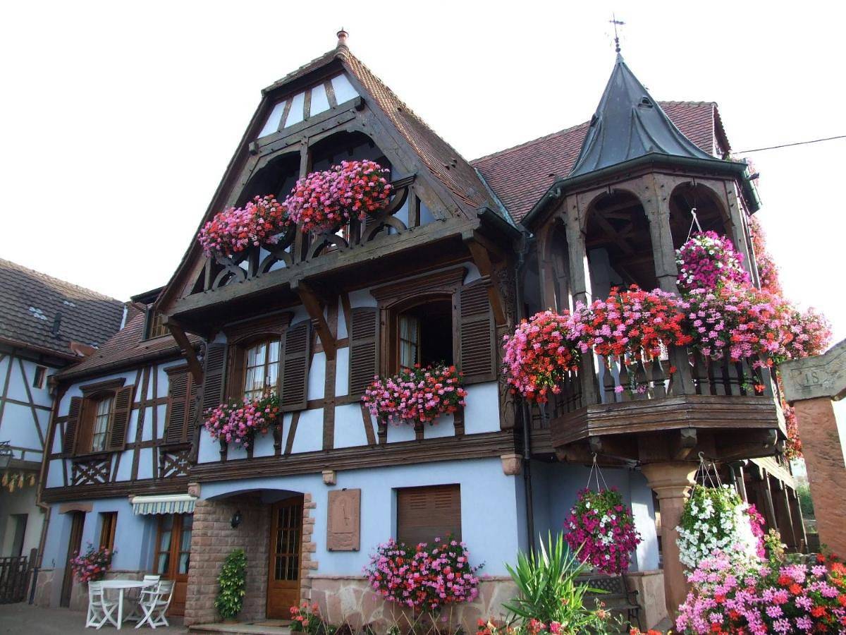 Appartement entier, One-Bedroom Apartment in Triembach-au-Val, Région de Sélestat-Erstein