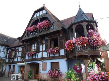 Gîte pour 3 personnes, avec jardin et vue dans Triembach-au-Val
