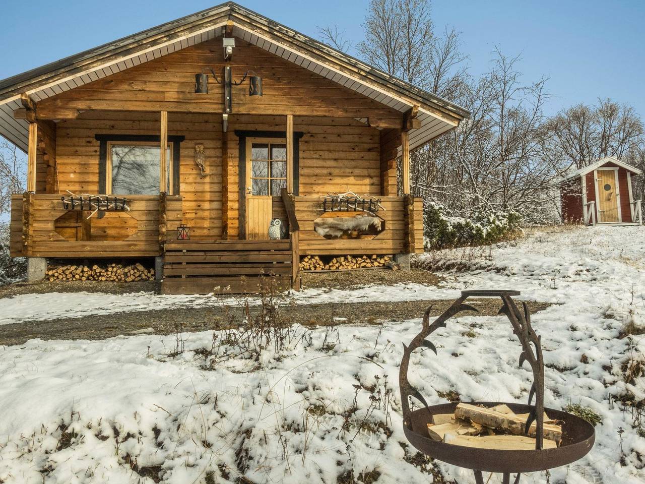 Pikkupöllö in Lappland