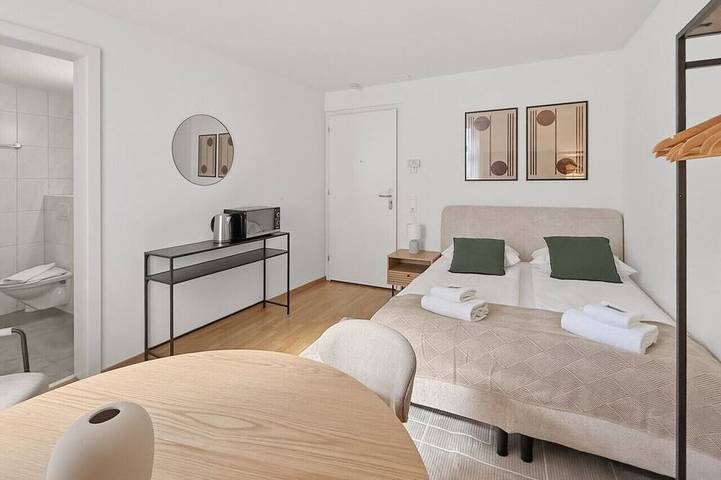 Appartement entier, Cozy room in the heart of Zurich in Zurich, District de Zurich