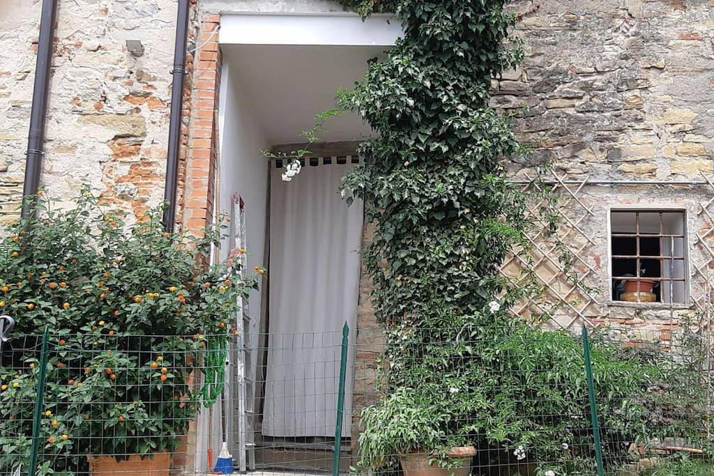 Ganze Wohnung, La Casa di Nina Wohnung in Collina in Castelfranco di sopra, Castelfranco Piandiscò (gemeinde)