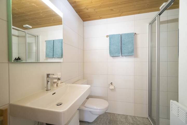 Ganze Wohnung, Chasa Sulai: Renovierte Ferienwohnung mit Aussicht Sent in Sent, Unterengadin