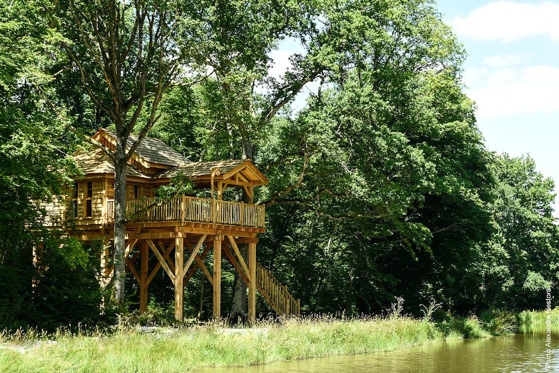 Cabane de luxe avec Spa dans les arbres in Région de Montargis