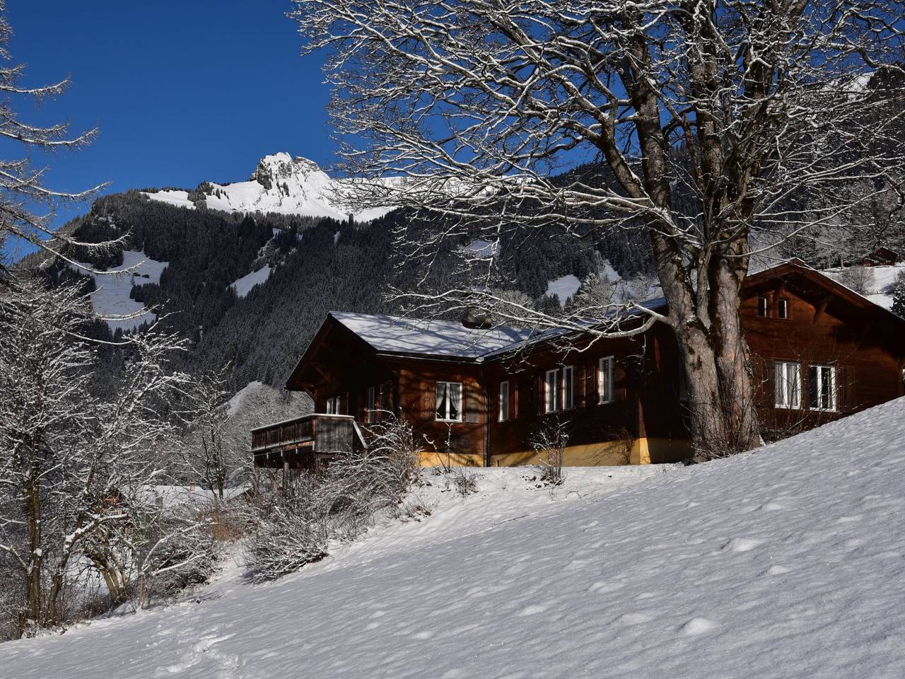 Tournelle 8 Bett Wohnung in Grindelwald, Grindelwald region