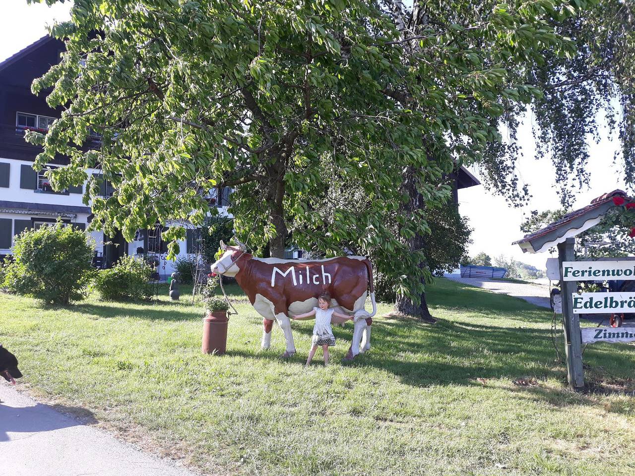 Bio-Ferienhof Baur - Ferienwohnung Hennastall, 1 Schlafzimmer, max. 3 Personen in Weißensberg, Bayerisch Schwaben