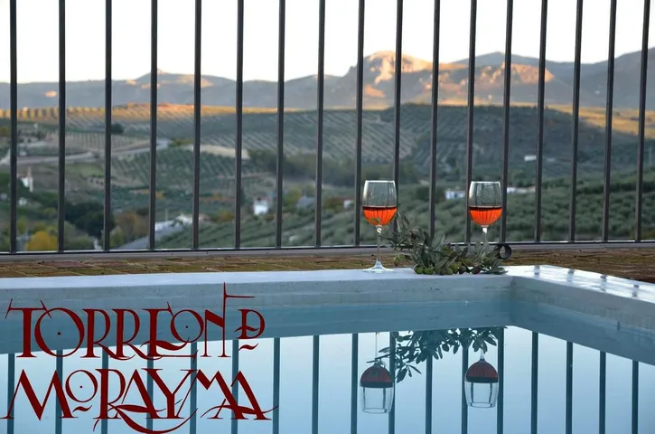 Holiday home for 8 people, with pool and view as well as balcony, child-friendly - 1