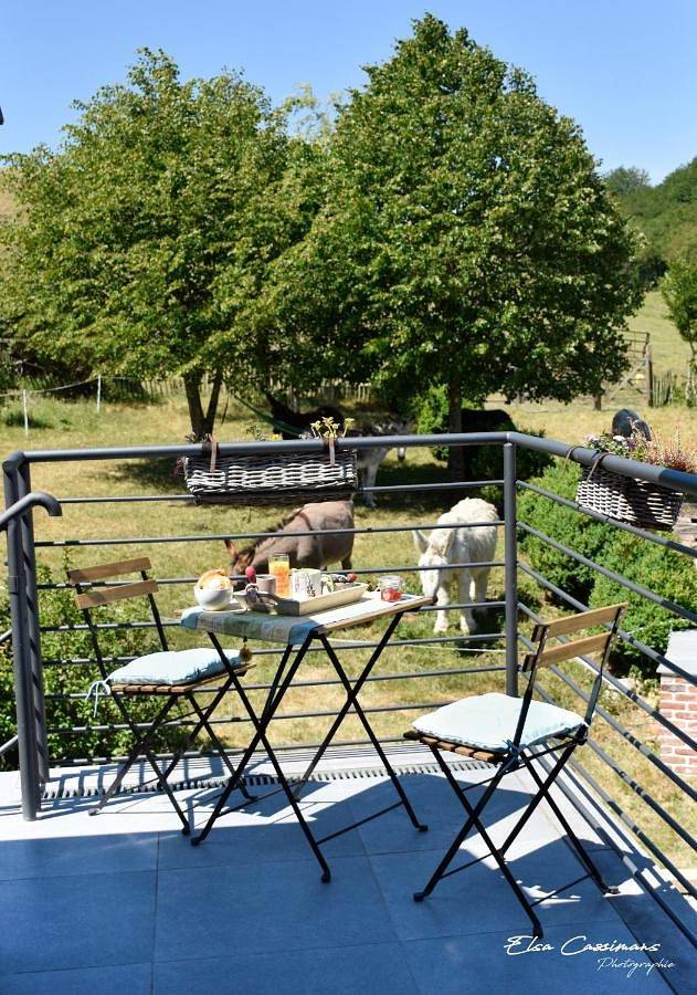 Location de vacances pour 5 personnes, avec piscine ainsi que jardin et vue, adapté aux familles à Walcourt