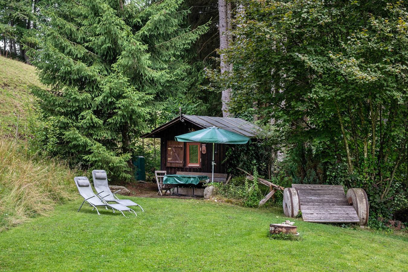 Maison de vacances « Mühle-am-Wolfsgrund » avec vue sur la montagne, terrasse et jardin privés in Unterkirnach, Forêt-Noire centrale