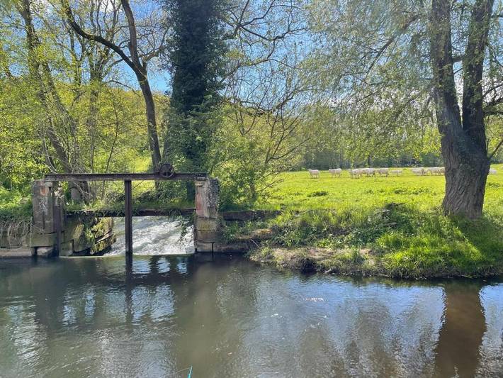 Gîte pour 2 personnes, avec jacuzzi et terrasse à Wasselonne - 4