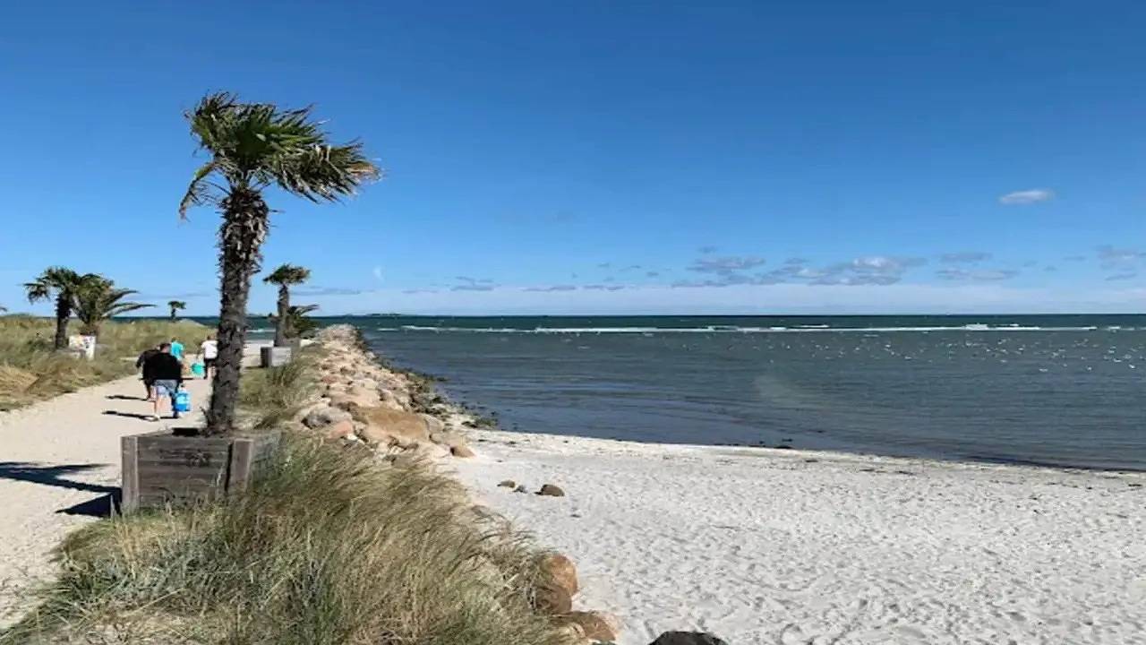 Ferienhaus für 4 Personen (88 m²) in Fladstrand in Frederikshavn, Nordostjütland