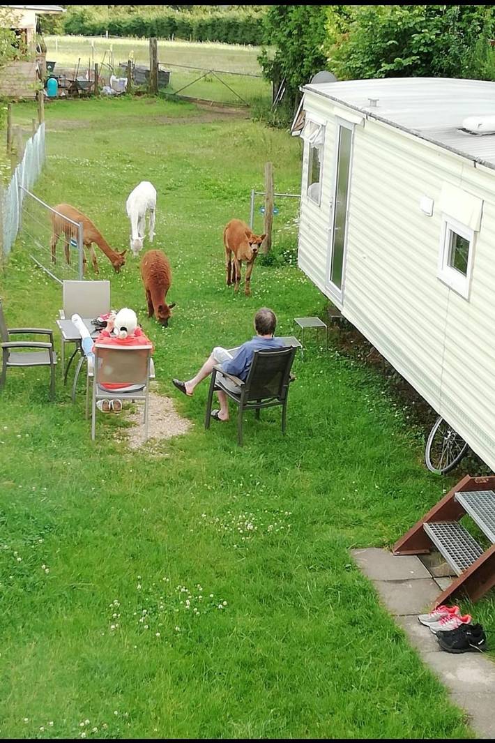 Ferienwohnung für 2 Personen, mit Garten und Sauna, mit Haustier - 1