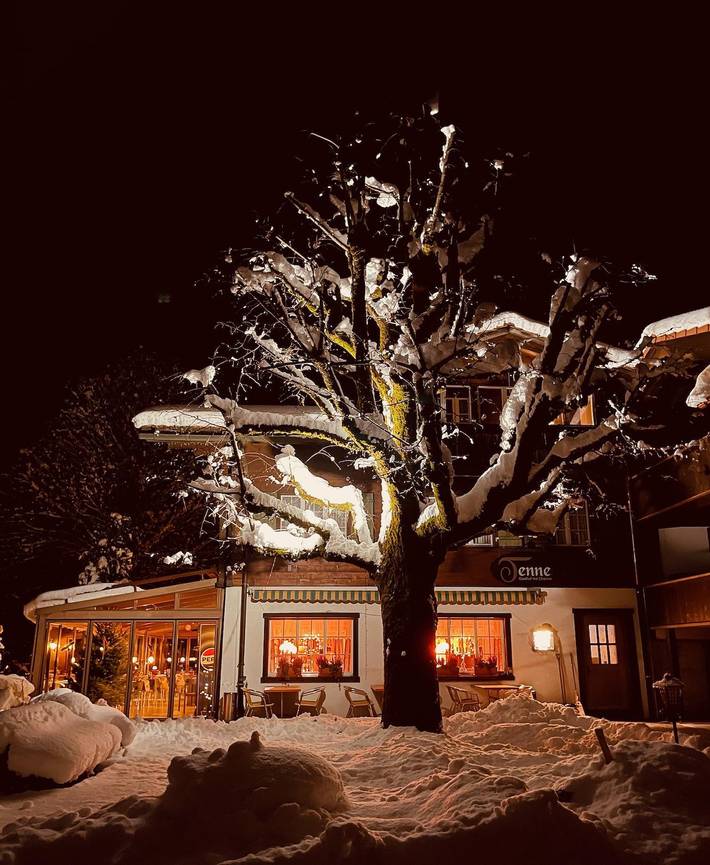 Hotel für 4 Personen mit Terrasse in Lenk im Simmental, Lenk