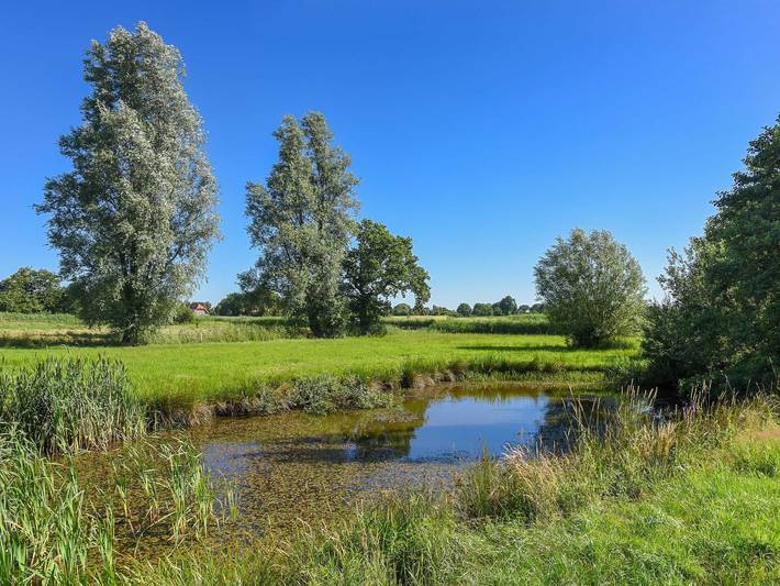 Ferienhaus für 4 Personen, mit Terrasse und Garten in Stedesdorf - 4