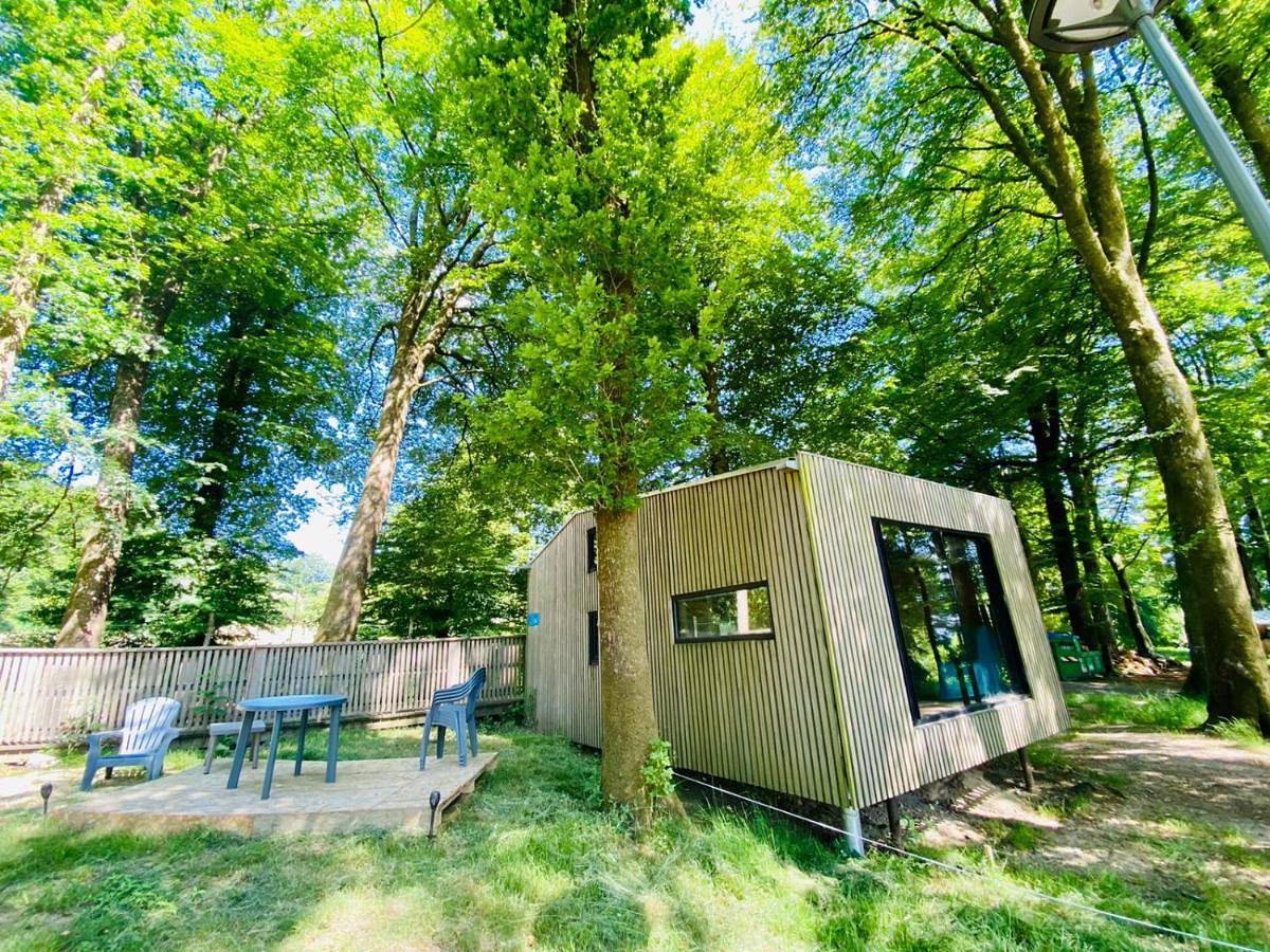 L'étape en forêt in Saint-Sever-Calvados, Noues de Sienne