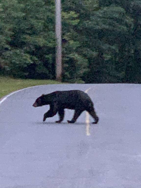 Wunderschöne Mountain Estate mit spektakulärem See und die Berge !!!!! in Lake Toxaway