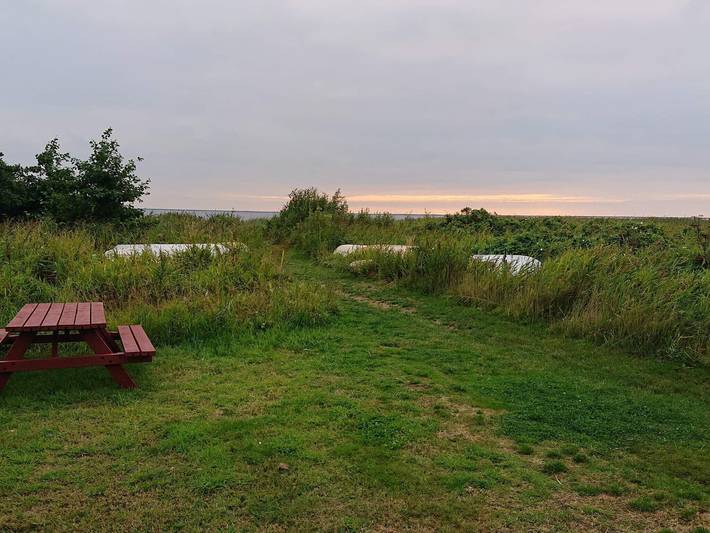 Ferienhaus für 4 Personen, mit Terrasse am Ringkøbing Fjord - 4