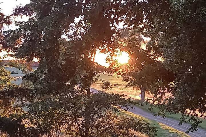 Ferienhaus für 5 Personen, mit Garten und Whirlpool in Barkhagen - 4