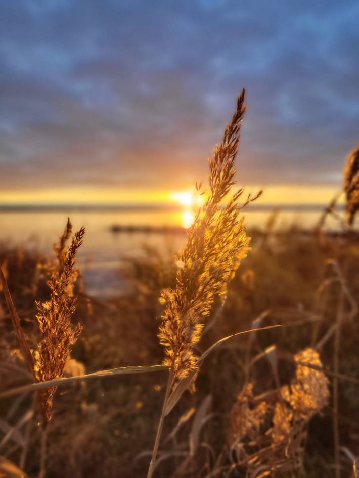 Ferienwohnung für 3 Personen, mit Balkon und Balkon/Terrasse, kinderfreundlich in Bad Reichenhall - 3