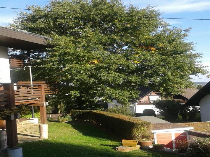 Ferienwohnung für 2 Personen, mit Garten und Terrasse in Montabaur - 2