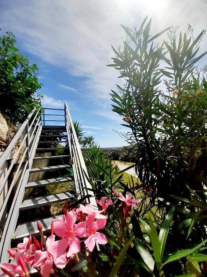 Chambre d’hôte pour 2 personnes, avec jardin et vue à San Teodoro - 3