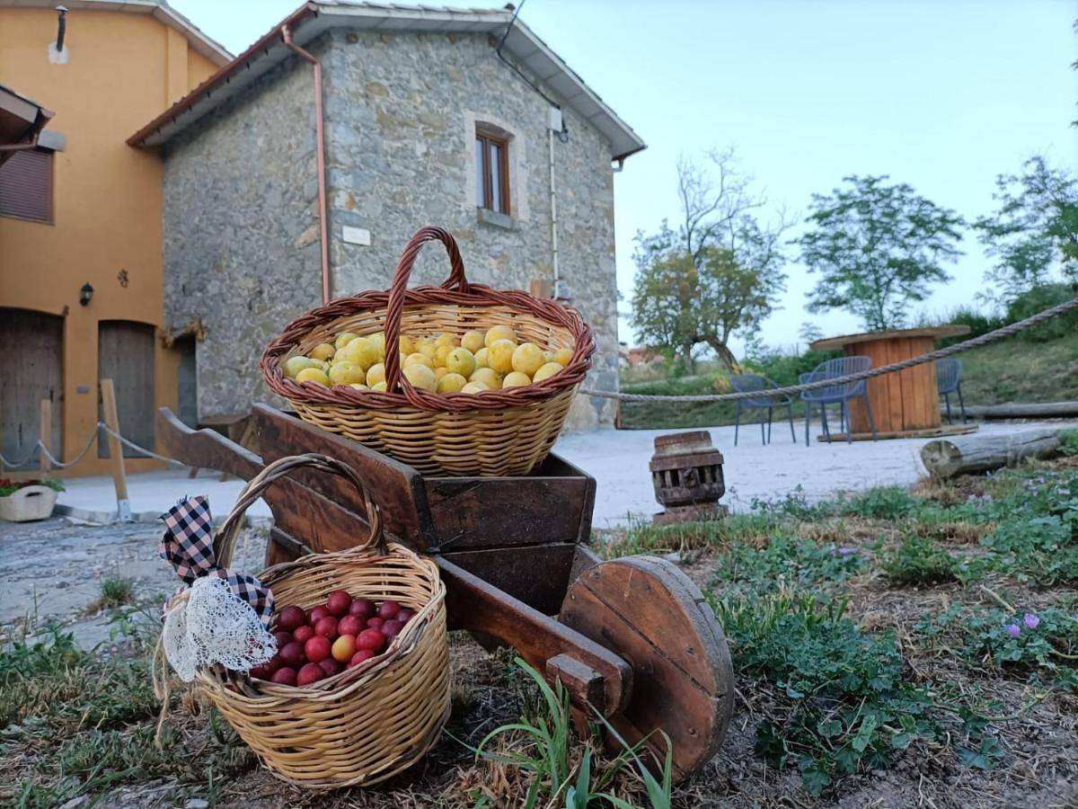 Les Roviles in San Pedro de Torelló, Provincia de Barcelona