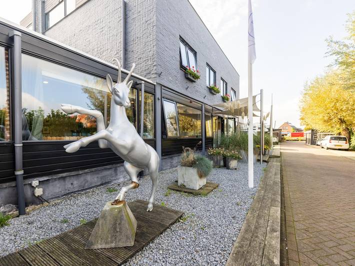 Ferienhaus für 50 Personen, mit Garten und Sauna sowie Whirlpool und Terrasse, mit Haustier in Südholland - 2