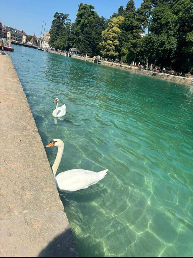 Gîte pour 7 personnes, avec jardin ainsi que vue et vue sur le lac dans Golf Club du Lac d'Annecy - 3