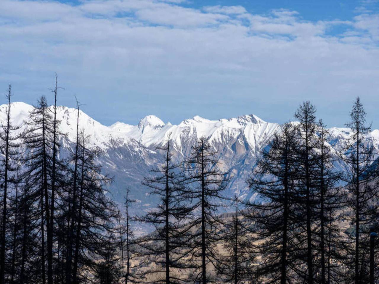 Appartement entier, Résidence Les Hauts De Preclaux in Les Orres, Parc national des Écrins