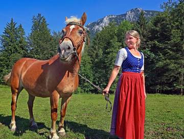 Bauernhof für 4 Personen in Steinbach am Attersee, Attersee, Bild 4
