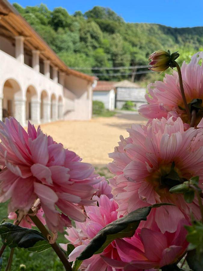 Twin Room in Vittorio Veneto, Prealpi Carniche