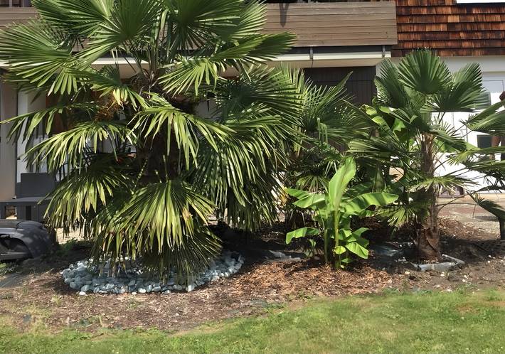 Ferienwohnung für 2 Personen, mit Garten in Schwäbische Alb - 3