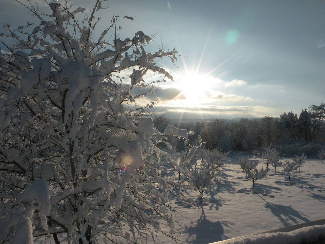 Ganze Ferienwohnung, Ferienwohnung Nika - Ferienwohnung Nika, 50qm 1-Zimmer-Appartment im Eg in Öhningen, Untersee