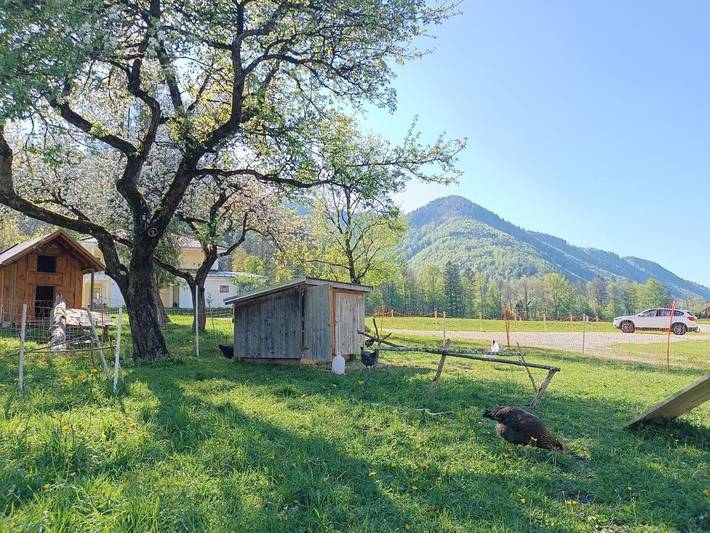 Ganze Wohnung, Studio Apartment with Balcony in Hintersee (Salzburger Land), Tennengau
