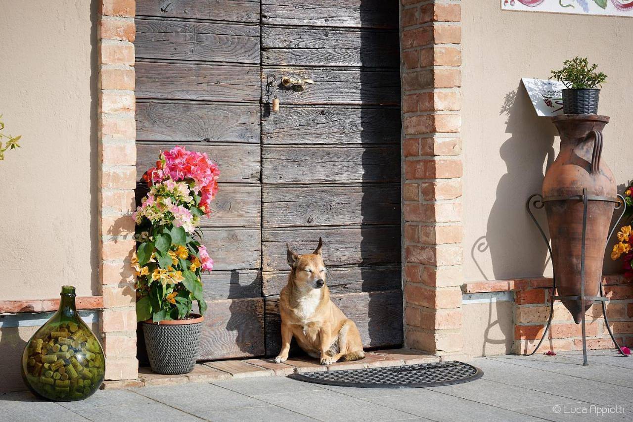 Agriturismo Cascina Sciulun in Monforte d'Alba, Langhe