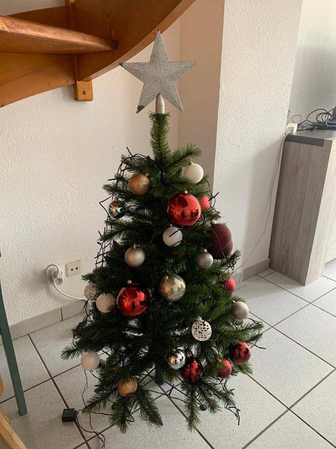 Gîte pour 10 personnes, avec balcon et vue dans Office De Tourisme De Luz Saint Sauveur - 2