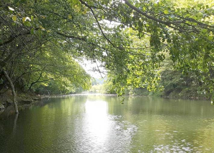 Gîte pour 6 personnes, avec vue et jardin en Croatie - 2