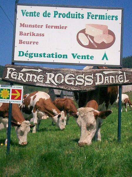 Location de vacances pour 2 personnes, animaux acceptés au Parc naturel régional des Ballons des Vosges - 2