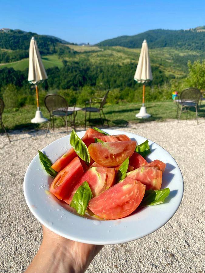 Maison de campagne pour 2 personnes à Gualdo Tadino - 4