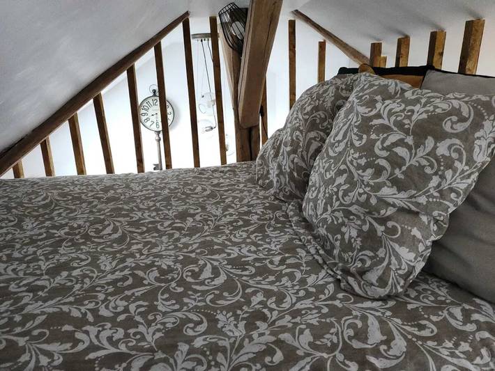 Studio for 4 people, with terrace - 1