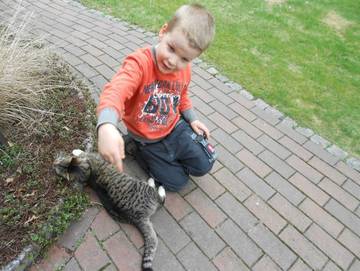 Bauernhof für 4 Personen in Grethem, Landkreis Heidekreis, Bild 1