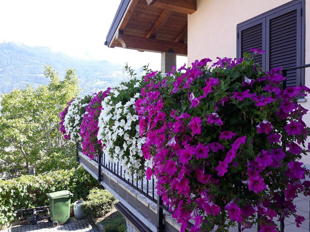 Villetta maison hélène Cir n 0391 in Aosta, Alpy Valais