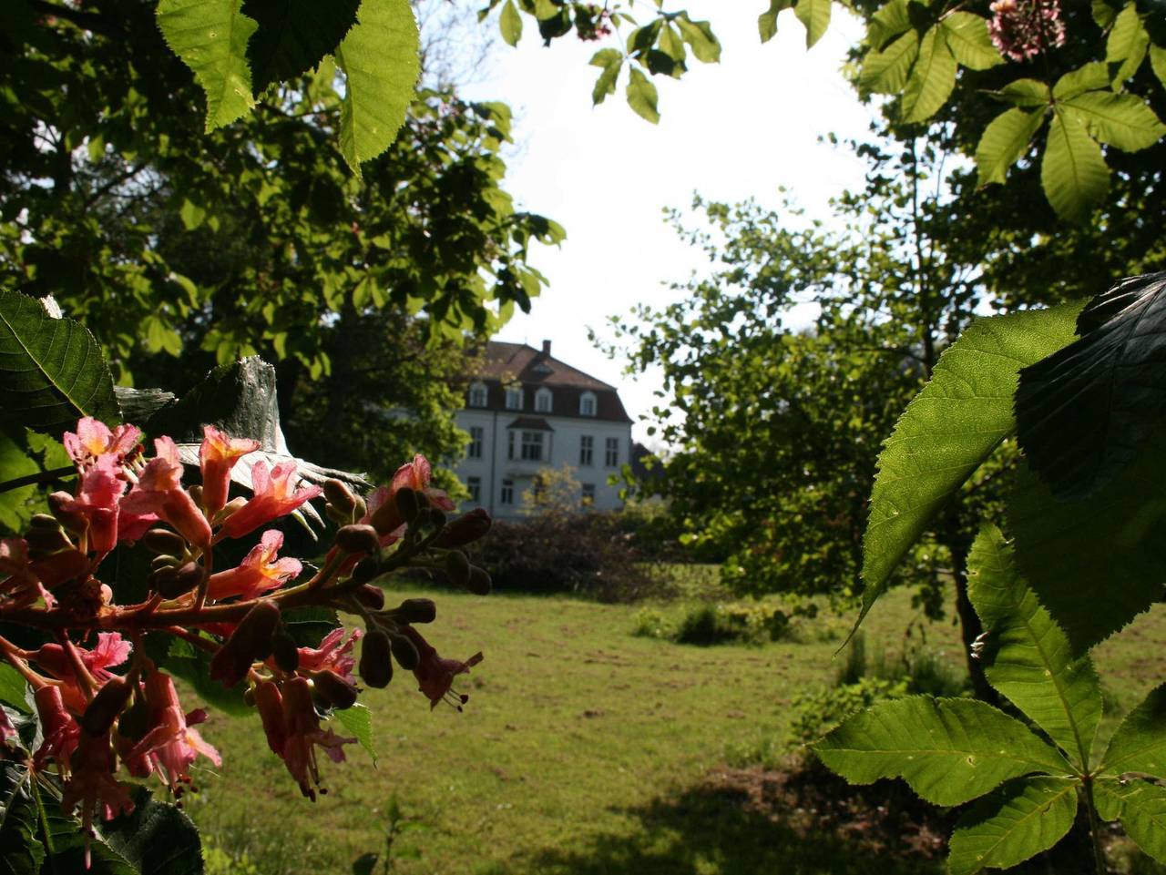 Ganze Ferienwohnung, Gutshaus Redderstorf in Bad Sülze, Recknitz-Trebeltal