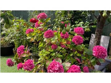 view of accommodation