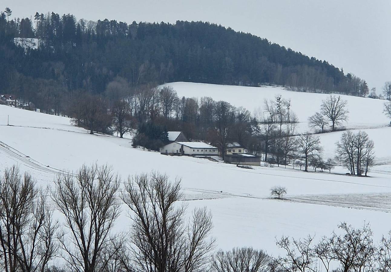 Ferienwohnung Saller - Ferienhaus mit Wintergarten und schöner Aussicht in Weißenbrunn, Oberfranken