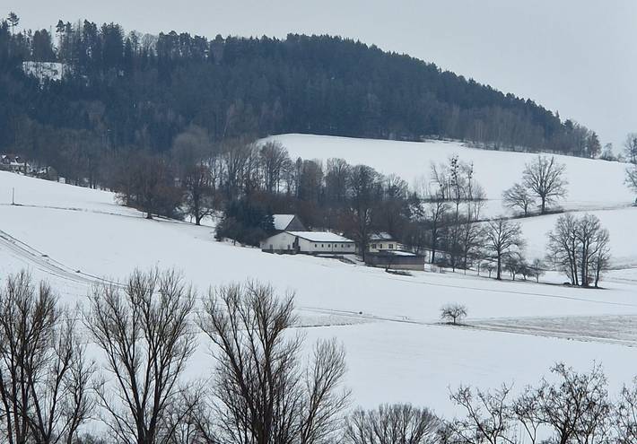 Ganze Wohnung, Ferienwohnung Saller - Ferienhaus mit Wintergarten und schöner Aussicht in Weißenbrunn, Oberfranken